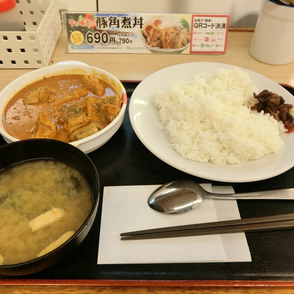 ユーザーが投稿したバターカレー並の写真 - 実際訪問したユーザーが直接撮影して投稿した栄町牛丼松屋 小田原店の写真