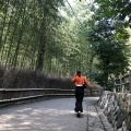 実際訪問したユーザーが直接撮影して投稿した山 / 峠嵐山の写真