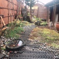 実際訪問したユーザーが直接撮影して投稿した犬山和カフェ / 甘味処本町茶寮の写真