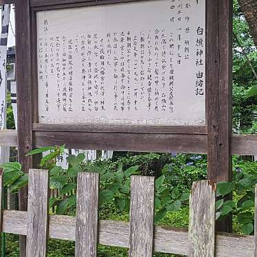 実際訪問したユーザーが直接撮影して投稿した雪ノ下神社白旗神社の写真