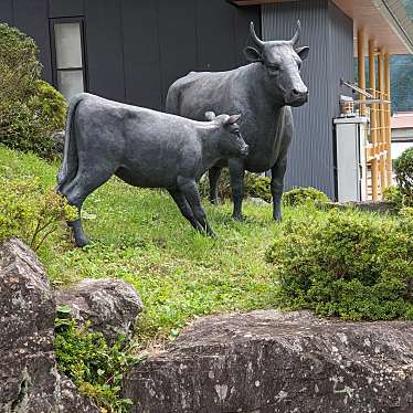 実際訪問したユーザーが直接撮影して投稿した千屋実旅館たえだ旅館の写真