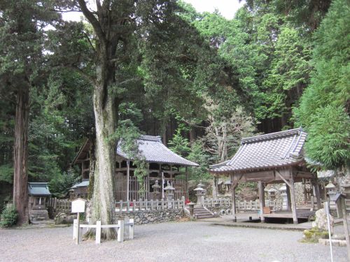 実際訪問したユーザーが直接撮影して投稿した千歳町国分神社愛宕神社の写真