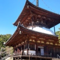 実際訪問したユーザーが直接撮影して投稿した根来寺根來寺の写真