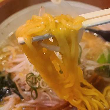 実際訪問したユーザーが直接撮影して投稿した西日野町ラーメン / つけ麺マイアミの写真