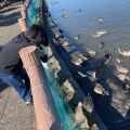 実際訪問したユーザーが直接撮影して投稿した水原湖沼 / 池瓢湖の写真