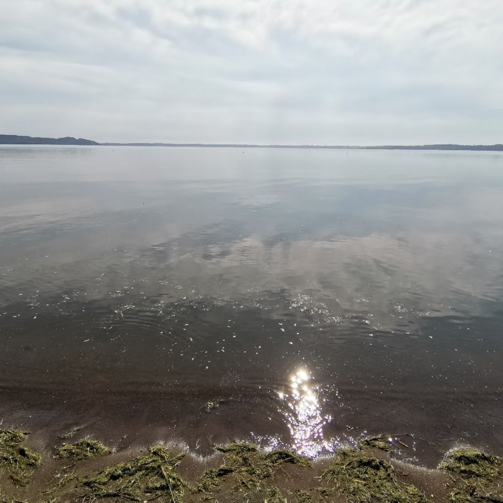 実際訪問したユーザーが直接撮影して投稿した大浦湖沼 / 池小川原湖の写真
