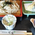 天ざるそば - 実際訪問したユーザーが直接撮影して投稿した出井和食 / 日本料理食彩香房 笹家の写真のメニュー情報