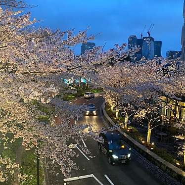 実際訪問したユーザーが直接撮影して投稿した赤坂公園ミッドタウンガーデンの写真