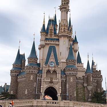 東京ディズニーランドのundefinedに実際訪問訪問したユーザーunknownさんが新しく投稿した新着口コミの写真