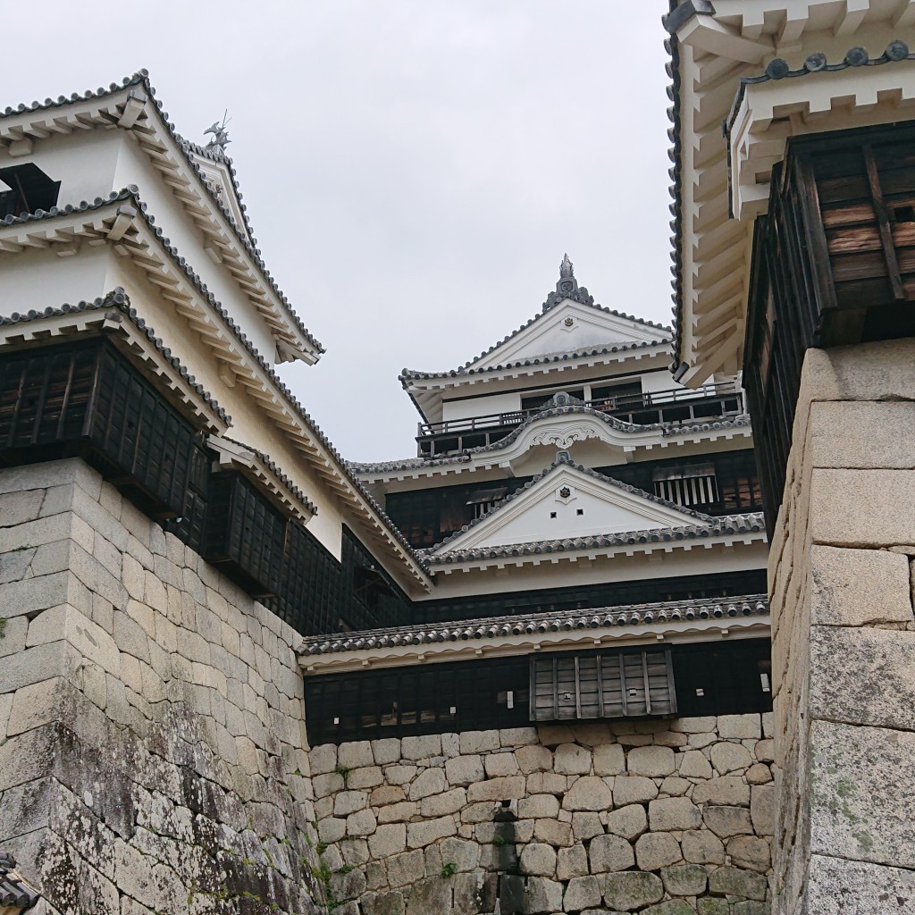 実際訪問したユーザーが直接撮影して投稿した丸之内城 / 城跡松山城の写真