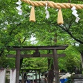 実際訪問したユーザーが直接撮影して投稿した大塚戸町神社一言主神社の写真