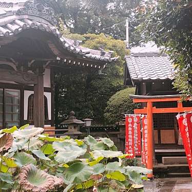 実際訪問したユーザーが直接撮影して投稿した堀ノ内寺宗延寺の写真