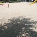 実際訪問したユーザーが直接撮影して投稿した小松北町公園老松公園の写真
