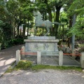実際訪問したユーザーが直接撮影して投稿した明大寺町神社六所神社の写真