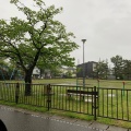 実際訪問したユーザーが直接撮影して投稿した大塚町公園大塚公園の写真