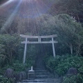 実際訪問したユーザーが直接撮影して投稿した志賀島神社志賀海神社の写真