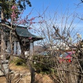 実際訪問したユーザーが直接撮影して投稿した篠原町神社篠原八幡神社の写真