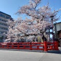 実際訪問したユーザーが直接撮影して投稿した上三之町町並み高山市三町伝統的建造物群保存地区の写真