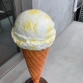 実際訪問したユーザーが直接撮影して投稿した倭町カフェHOULE coffee&amp;icecreamの写真