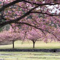 実際訪問したユーザーが直接撮影して投稿した南濃町羽沢公園羽根谷だんだん公園の写真