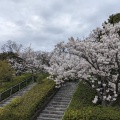 実際訪問したユーザーが直接撮影して投稿した糀台公園池谷緑地の写真