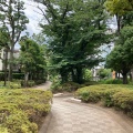 実際訪問したユーザーが直接撮影して投稿した東陽公園洲崎川緑道公園の写真