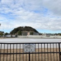 実際訪問したユーザーが直接撮影して投稿した海の公園広場海の公園 なぎさ広場の写真