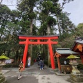 実際訪問したユーザーが直接撮影して投稿した元箱根神社箱根神社の写真