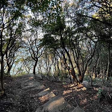 実際訪問したユーザーが直接撮影して投稿した港 / 灯台田倉埼灯台の写真