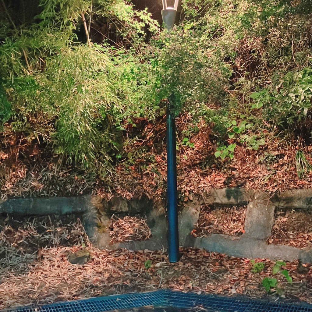 実際訪問したユーザーが直接撮影して投稿した和霊町公園丸山公園の写真