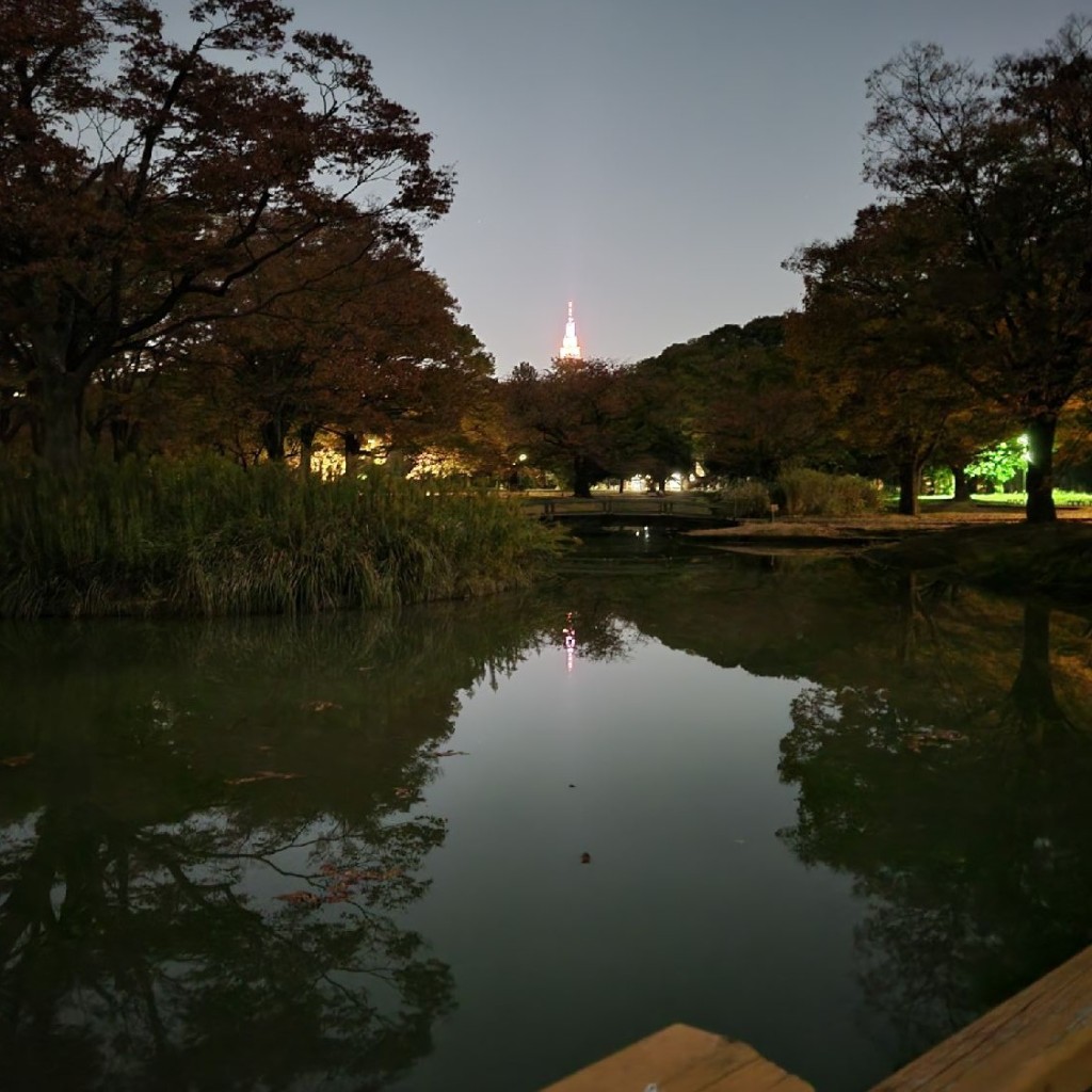 実際訪問したユーザーが直接撮影して投稿した代々木神園町公園代々木公園 噴水の写真