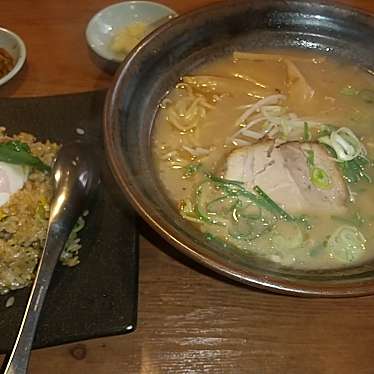 実際訪問したユーザーが直接撮影して投稿した納花町ラーメン / つけ麺河内らーめん 喜神 和泉納花店の写真