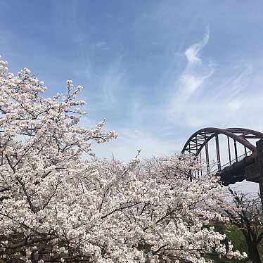 実際訪問したユーザーが直接撮影して投稿した今井公園今宮公園の写真