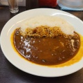 ハヤシライス - 実際訪問したユーザーが直接撮影して投稿した新木場カレーカレーショップC&C 新木場メトロピア店の写真のメニュー情報