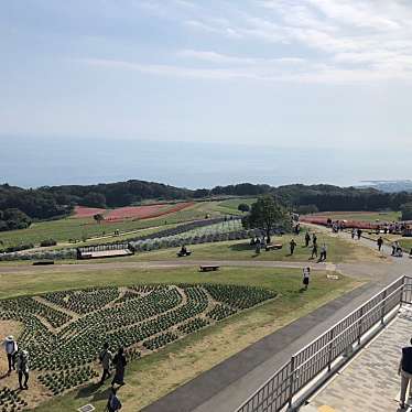 実際訪問したユーザーが直接撮影して投稿した楠本産地直売所淡路日の出農協東浦淡路支店あわじ花さじきの写真