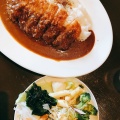 ポークカツカレー - 実際訪問したユーザーが直接撮影して投稿した森田町床舞洋食森のレストラン・ライアンの写真のメニュー情報