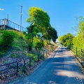 実際訪問したユーザーが直接撮影して投稿した浅川駅（代表）浅川駅 (JR牟岐線)の写真