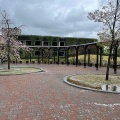 実際訪問したユーザーが直接撮影して投稿した柱町公園出会いの杜公園の写真