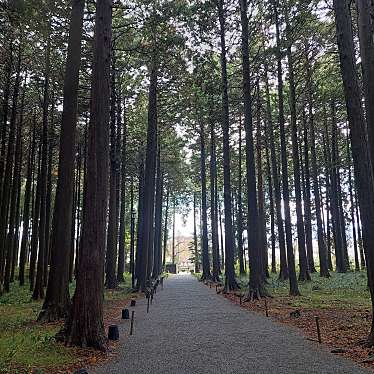 実際訪問したユーザーが直接撮影して投稿した東田中公園秩父宮記念公園の写真