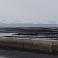 実際訪問したユーザーが直接撮影して投稿した住吉町公園住吉海岸公園の写真