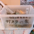実際訪問したユーザーが直接撮影して投稿した土堂ラーメン / つけ麺喰海の写真
