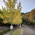 実際訪問したユーザーが直接撮影して投稿した宮内町公園八幡公園の写真