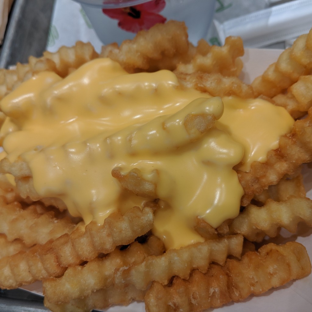 ユーザーが投稿したREGCheeseFriesの写真 - 実際訪問したユーザーが直接撮影して投稿した梅田ハンバーガーシェイクシャック 梅田阪神店の写真