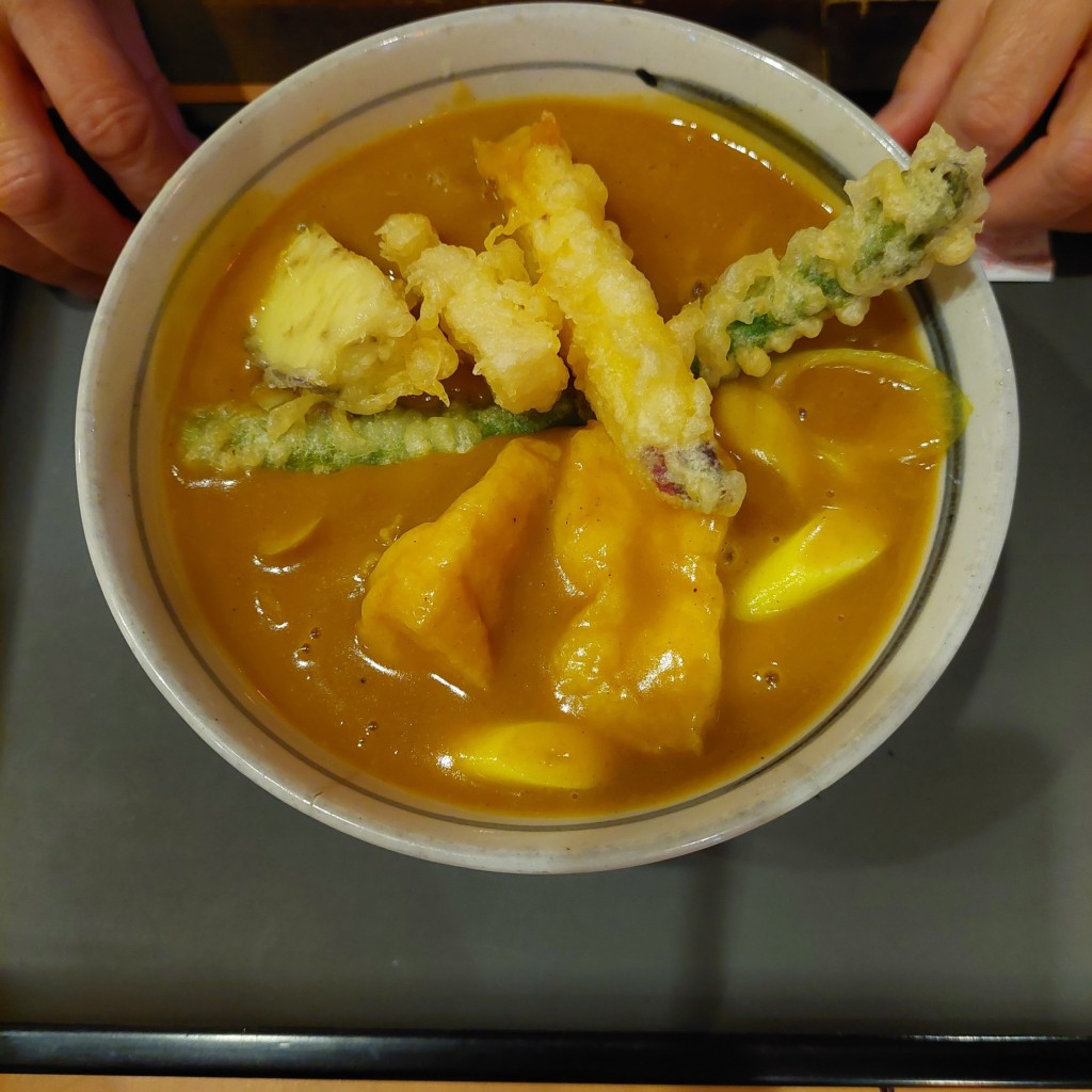 ユーザーが投稿した名物カレーうどんの写真 - 実際訪問したユーザーが直接撮影して投稿した松竹町上野うどん若鯱家 アピタ江南西店の写真