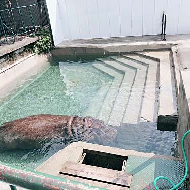 周南市徳山動物園のundefinedに実際訪問訪問したユーザーunknownさんが新しく投稿した新着口コミの写真