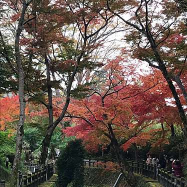 実際訪問したユーザーが直接撮影して投稿した根来寺根來寺の写真