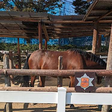 東武動物公園のundefinedに実際訪問訪問したユーザーunknownさんが新しく投稿した新着口コミの写真