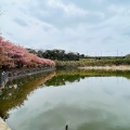 実際訪問したユーザーが直接撮影して投稿した南下浦町上宮田公園小松ケ池公園の写真