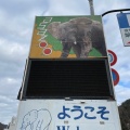 実際訪問したユーザーが直接撮影して投稿した安佐町大字動物園動物園広島市安佐動物公園の写真