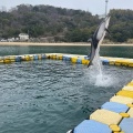 実際訪問したユーザーが直接撮影して投稿した津田町鶴羽水族館 / アクアリウム日本ドルフィンセンターの写真